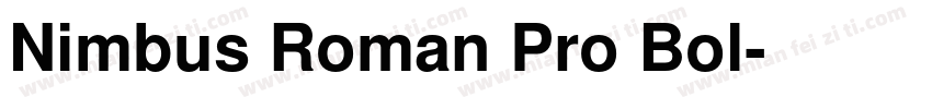 Nimbus Roman Pro Bol字体转换